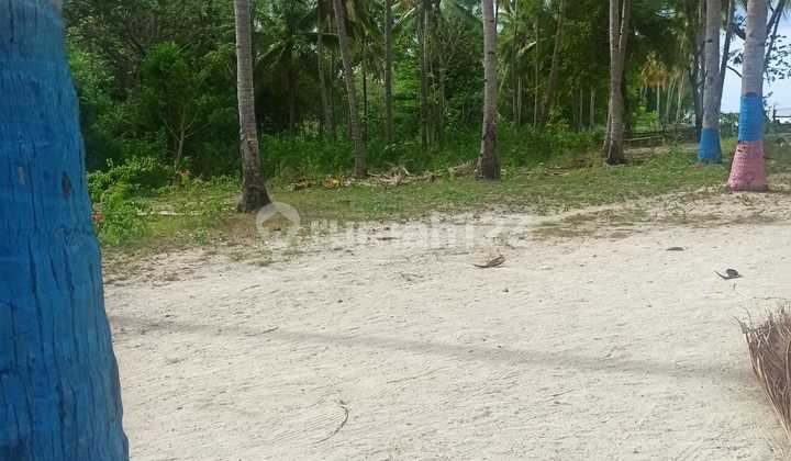 Dijual Tanah Di Pantai Torong Besi Reo Ntt 