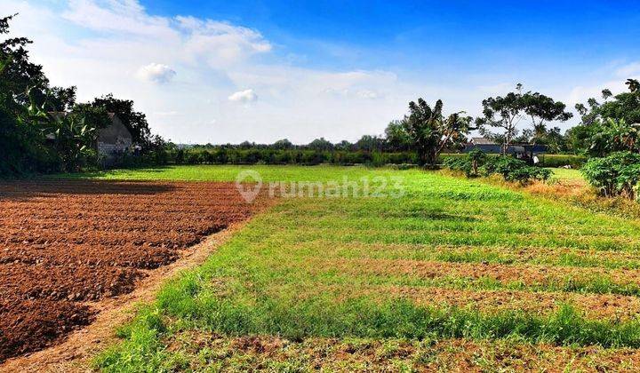 Jual Cepat Tanah Di Pinggir Jalan Raya  1