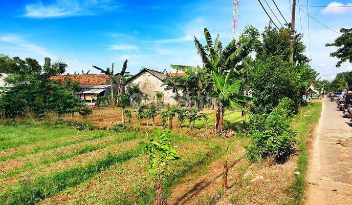 Jual Cepat Tanah Di Pinggir Jalan Raya  2