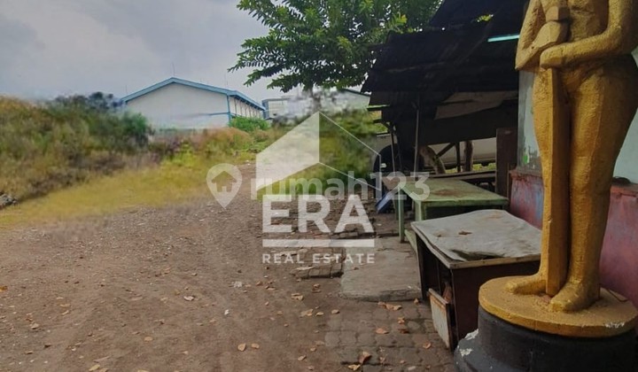 For rent, land in Sunter 1800 m2 For rent, land in Sunter 1800 m2