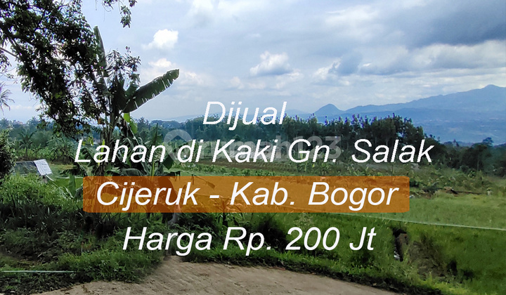 Di Jual Tanah di Ketinggian Kaki Gunung Salak Sejuk Dingin Lokasi Cijeruk. Di Jual Tanah di Ketinggian Kaki Gunung Salak Sejuk Dingin Lokasi Cijeruk.