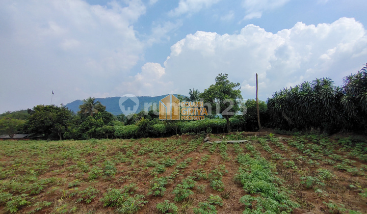 For Sale: House and Large Land with Asphalt Access, Car Entry, Limestone Mountain View, Cibungbulang, Bogor Regency.