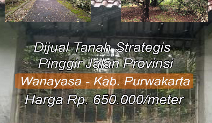 Dijual Tanah SHM Sangat Strategis berada di Pinggir Jalan Utama Wanayasa Jalur Provinsi.