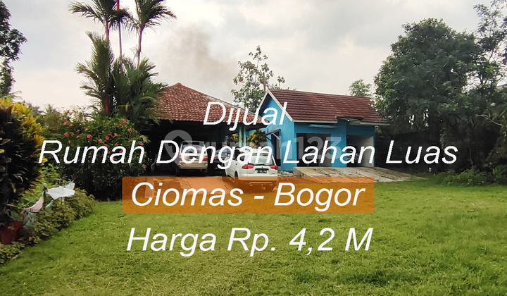  DIJUAL RUMAH HUNIAN LUAS SANGAT NYAMAN CIOMAS BOGOR TERDAPAT KOLAM IKAN.