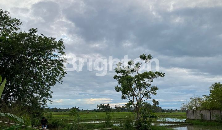 Tanah Strategis Bebas Banjir di Kota Padang Cocok untuk Perumahan, Rumah Sakit Dll