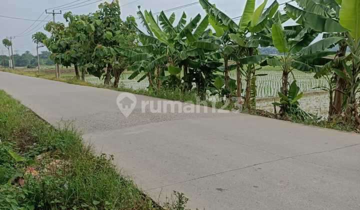 Land at the District Government Office, Tanjung Village, Cipunagara Subdistrict, Subang Regency