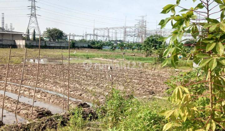 Dijual Cepat Sebidang Tanah Seluas 4,3 ha (kondisi saat ini berupa sawah) Lokasi strategis 1