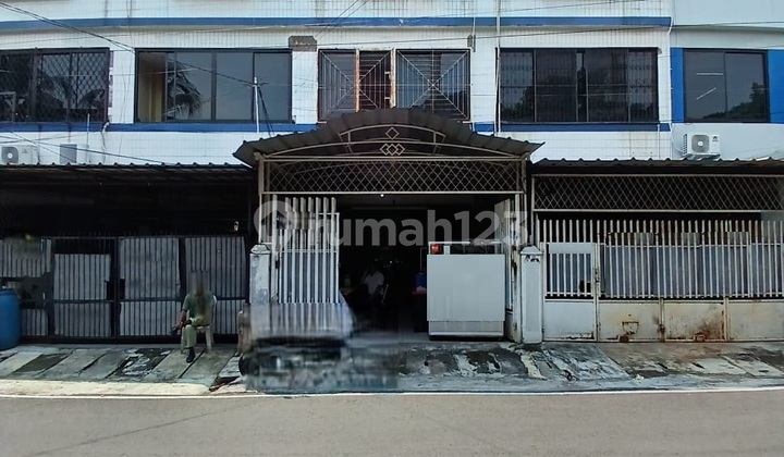 Ruko 3,5 Lt Di Supiori, Roxy Jak Pus