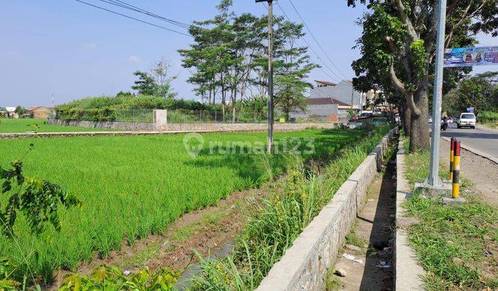 TANAH  MASIH BERUPA SAWAH Lokasi Jl.Soreang > Cipatik* 1