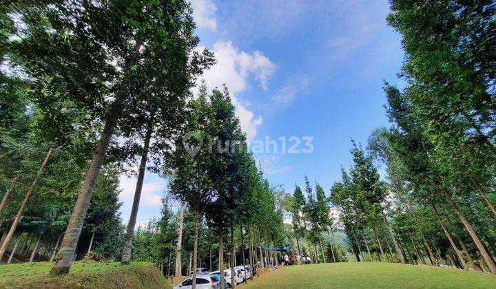 Kavling 
Depan hutan lindung Juanda 1