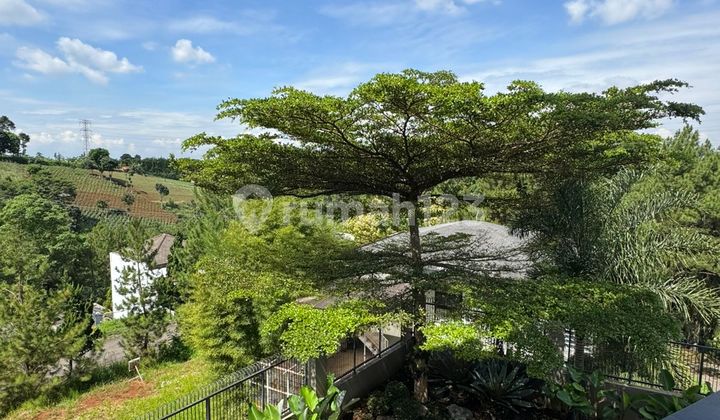 Rumah Cantik & Lux Dago Resort 2