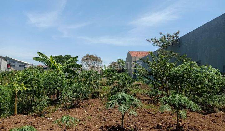 Tanah Kebun Siap Bangun di Margahayu Kopo Katapang* 1