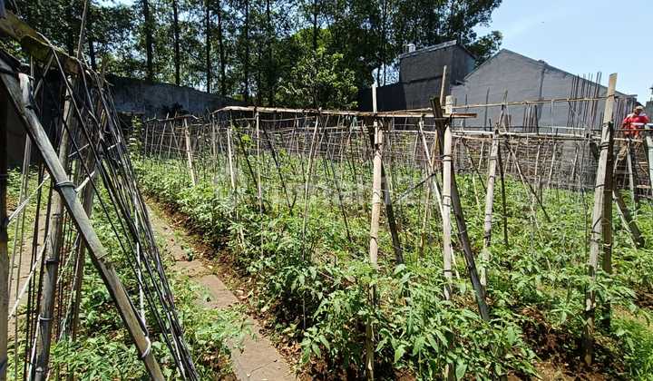 Dijual Tanah Kavling Setra Duta