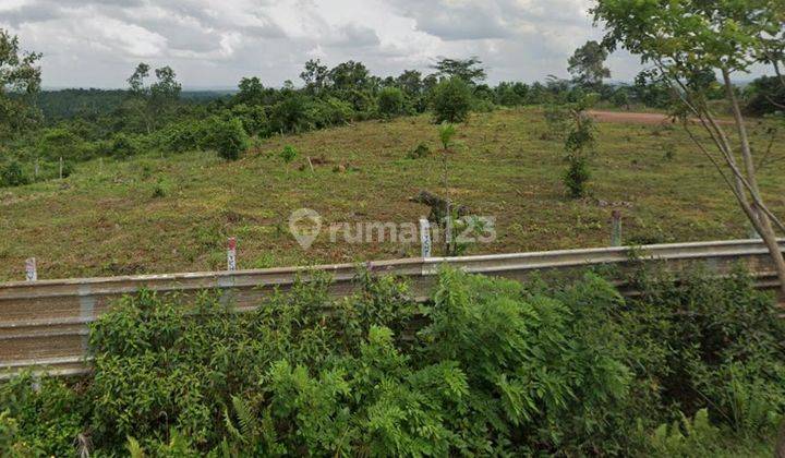 Tanah Strategis Berada Dijalan Utama Dan Dekat Pusat Pemerintahan 1