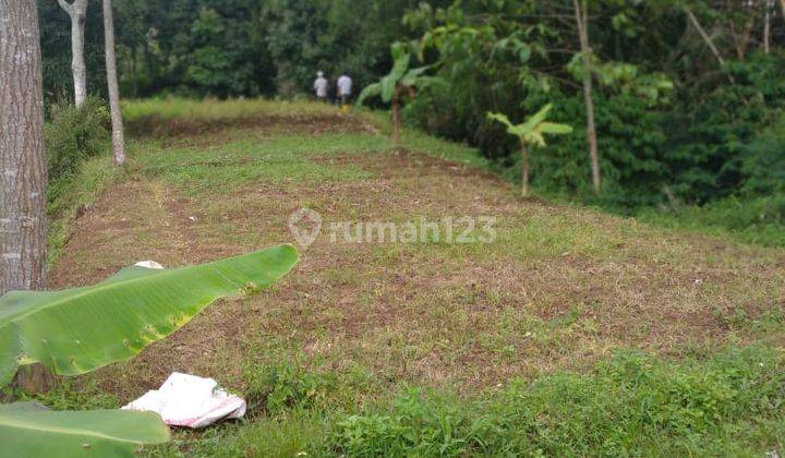 Tanah Kosong Di Jalan Cibodas Tengah Area Perkebunan 2