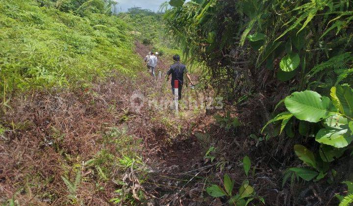 Tanah Kosong di Jalan Pesona Bukit Sintuk Dekat Area Perusahaan 2