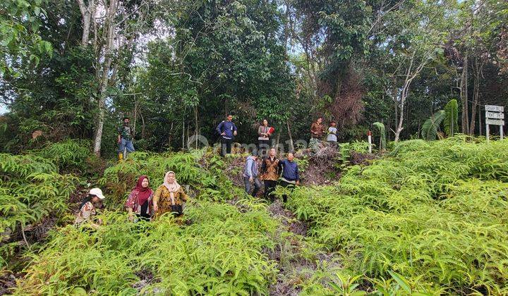 Tanah Kosong di Jalan Pesona Bukit Sintuk Dekat Area Perusahaan 1