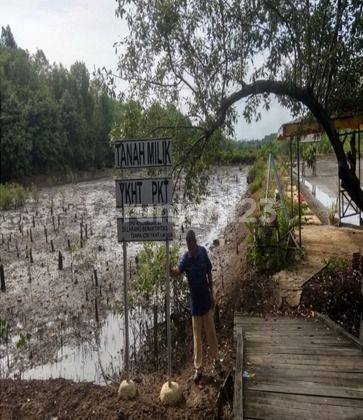 Lahan Tambak di Daerah Bontang Kuala Dekat Tempat Wisata  2