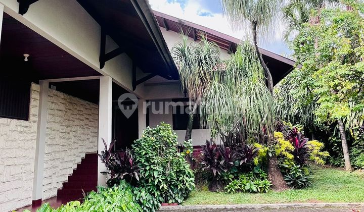 For Rent Luxury House with Swimming Pool and Spacious Garden in Kemang, South Jakarta For Rent Luxury House with Swimming Pool and Spacious Garden in Kemang, South Jakarta