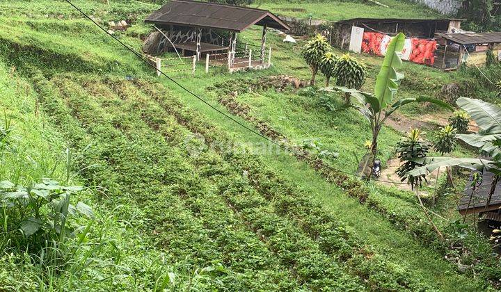 Turun Harga Tanah Bagian Dari Villa Cisarua Farm 600 Meter Dari Taman Safari 2