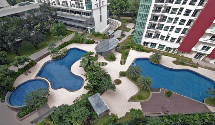 Apartement Woodland Park Residence 2 BR Furnished Bagus 2