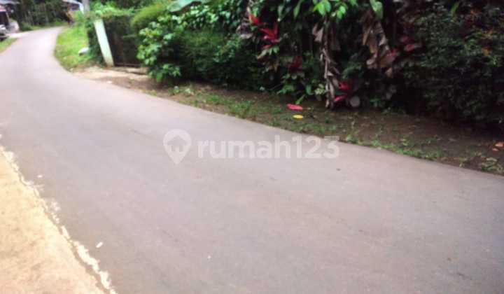 Dijual Lahan Kebon Produktif di Bogor Dijual Lahan Kebon Produktif di Bogor