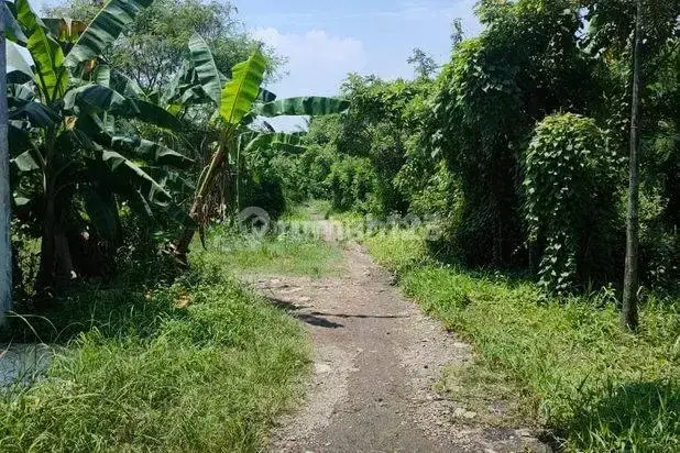 Tanah di Serang Cibarusah 13650 M2 SHM Muka 40 M Cikarang Selatan 2