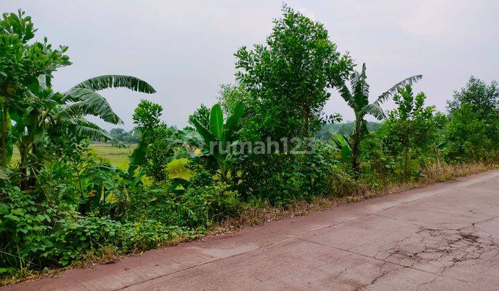 Dijual Murah Tanah di Karawang Barat 22000 M2 SHM Area Industri 2