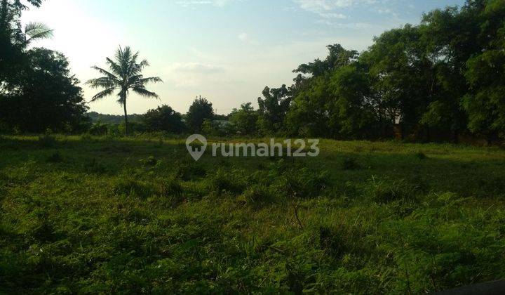 Tanah Dijual di Cibarusah Cikarang 4000m2 SHM Nego Dekt Tol Japek 1