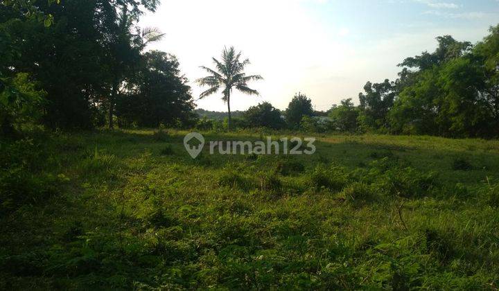 Tanah Dijual di Cibarusah Cikarang 4000m2 SHM Nego Dekt Tol Japek 2