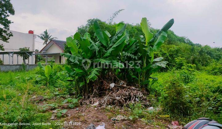 Tanah Dijual di Cikarang 5897m2 Jual Dibawah Pasaran Dkt Jababeka 2