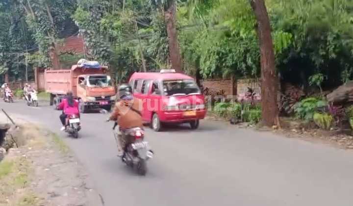 Disewakan Tanah di Cipayung Jakarta Timur 1500M2 SHM Lebar Muka 30Mtr Disewakan Tanah di Cipayung Jakarta Timur 1500M2 SHM Lebar Muka 30Mtr