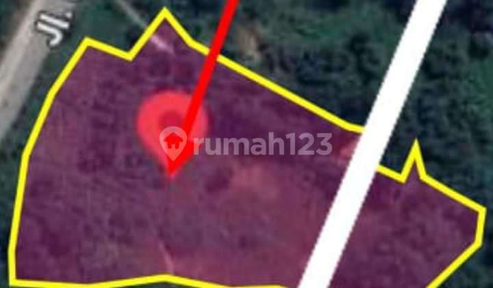 Tanah 1,5 Ha Strategis Dijual/Sewa di Cibubur Harga NJOP