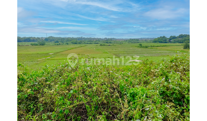 For Sale, Cheap and Spacious Land For Sale, Cheap and Spacious Land