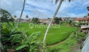 Di Jual Tanah Beserta Bangunan Di Jual Tanah Beserta Bangunan