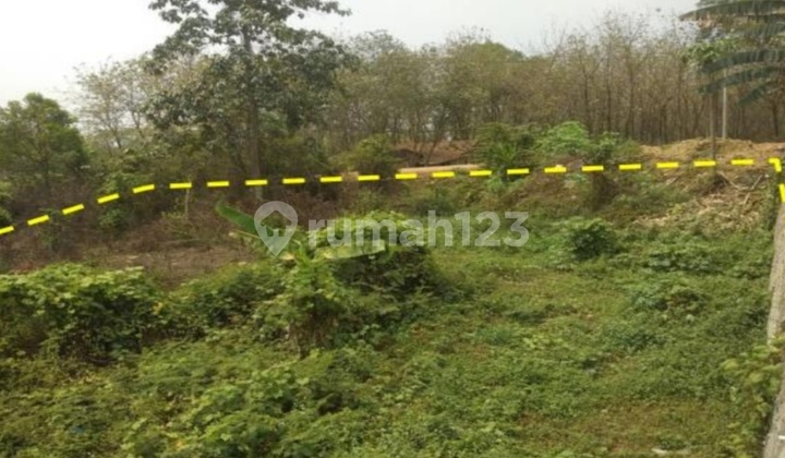 Di Jual Tanah Murah di Bogor Di Jual Tanah Murah di Bogor