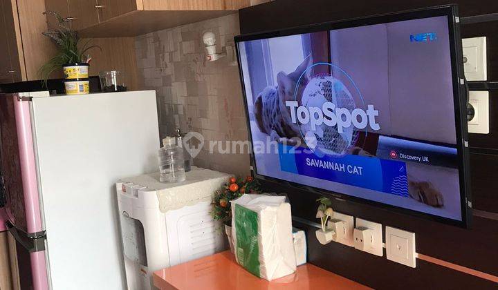 Disewakan Apartemen Scientia 1 BR Furnished Bagustangerang 1