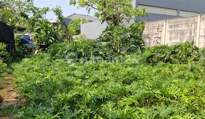Dijual Tanah Kavling Kebon Jeruk Jakarta Barat Dijual Tanah Kavling Kebon Jeruk Jakarta Barat