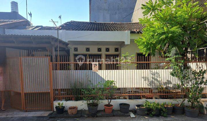 Jual Rumah Bagus di Sunter 1