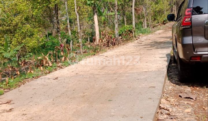 Clove Garden, there are 130 productive trees and 40 Durian trees in Wonosalam Jombang.