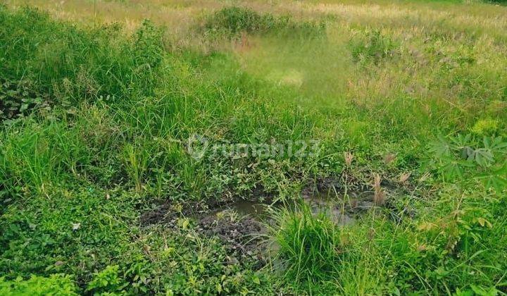 Tanah murah 1050 m² SHM Pandaan Pasuruan