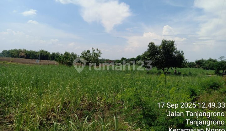 Fast Land near Krembung Sugar Factory Sidoarjo Fast Land near Krembung Sugar Factory Sidoarjo