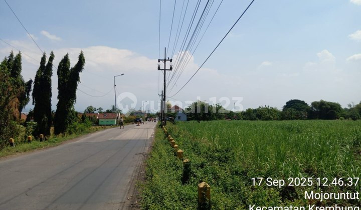 Fast Land near Krembung Sugar Factory Sidoarjo Fast Land near Krembung Sugar Factory Sidoarjo