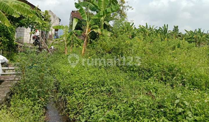 Dijual Murah Tanah Pandegelan Pandaan Dekat Kawasan Industti/Pabrik Cocok untuk Gudang atau Rumah Kos Dijual Murah Tanah Pandegelan Pandaan Dekat Kawasan Industti/Pabrik Cocok untuk Gudang atau Rumah Kos