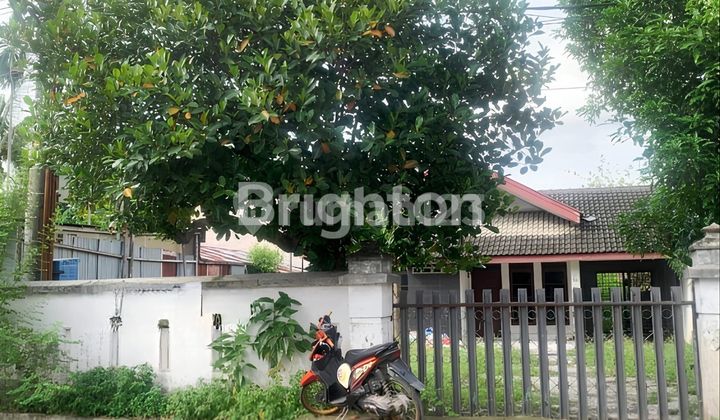Tanah ukuran 11,8 x 72,5 M Inti Kota Daerah Jalan Adam Malik .Harga Investor  2