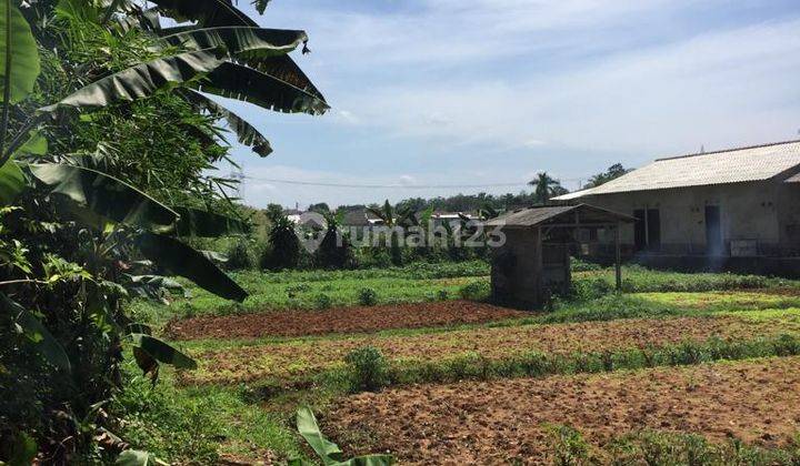 Tanah Kebun Cocok Untuk Town House, Gudang di Bojong Gede Bogor 1