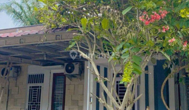 Disewa Rumah Taman Asoka Asri Type Amarante Jalan Flamboyan Raya 2