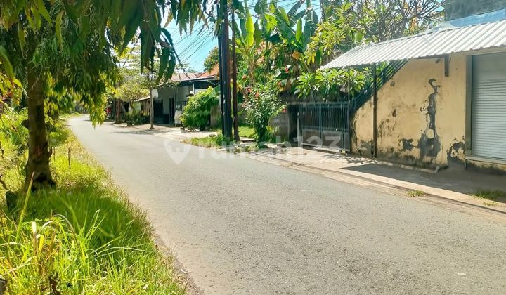 Tanah Di Lovina Cocok Gudang Atau Usaha Dekat Pantai Dan Jalan Raya Dekat Pepito