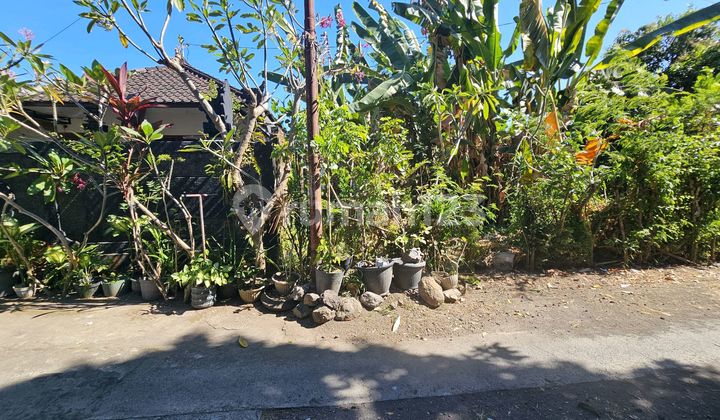 Tanah Dekat Sekolah Di Singaraja Sambangan Gg Pertiwi