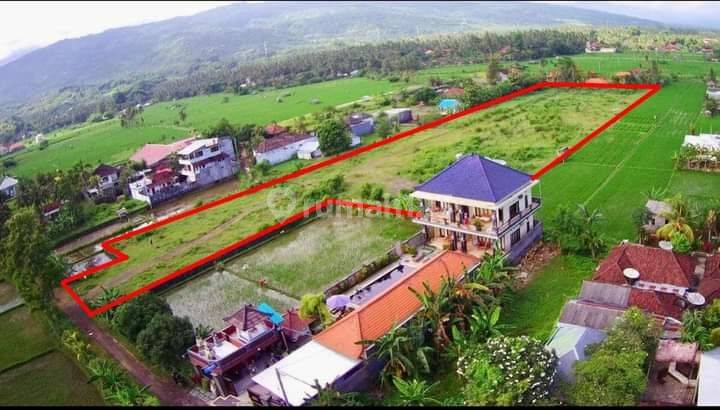 Central Lovina Land Plot 1